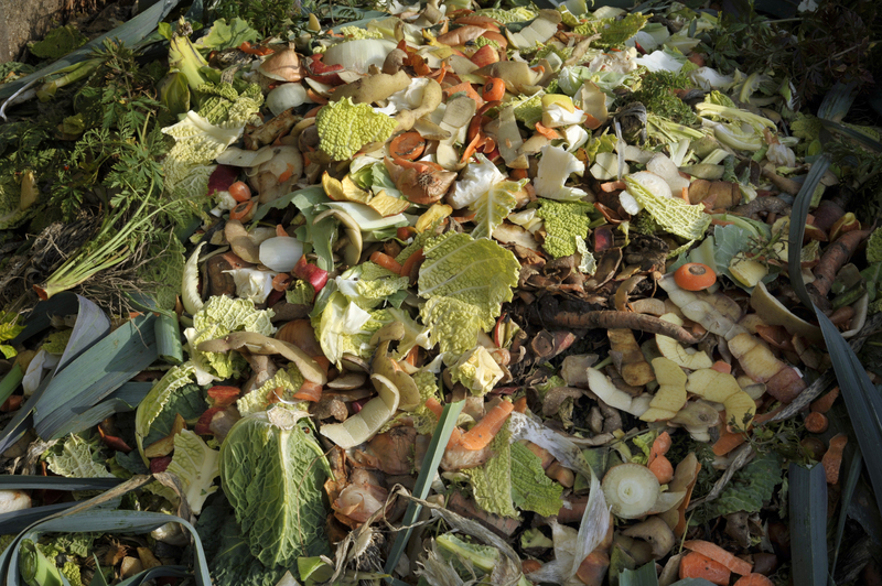 rubbish removal rubbish collection
